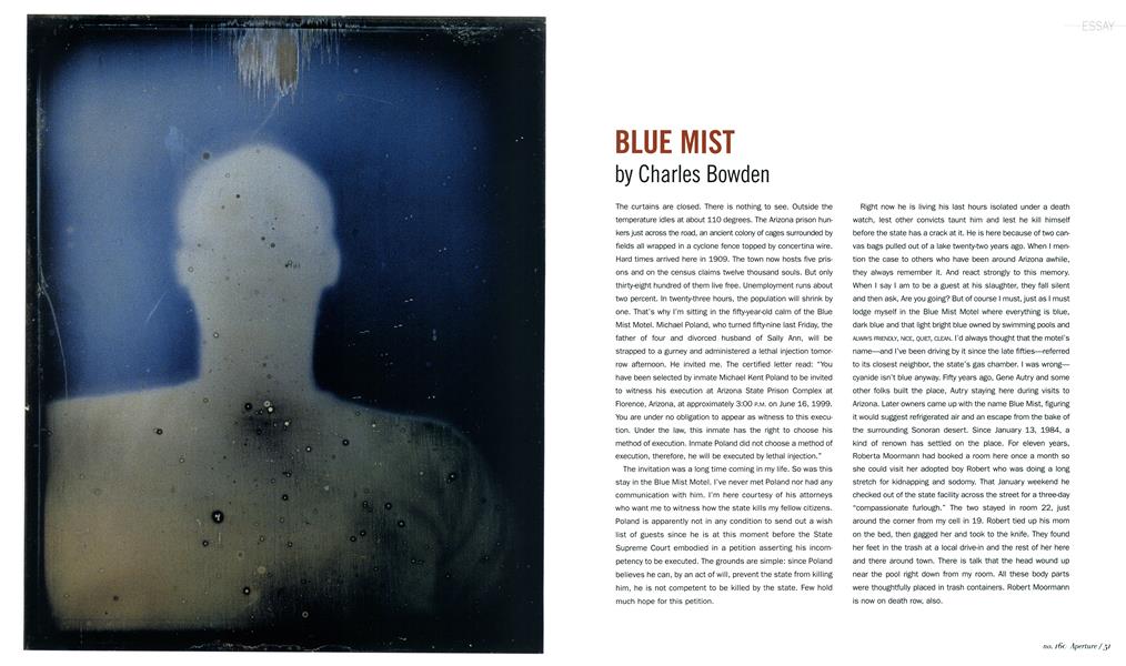 Blue Mist