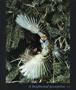 Page: - 1 | Aperture