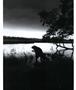 Page: - 57 | Aperture