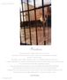Page: - 32 | Aperture
