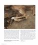 Page: - 26 | Aperture