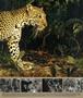 Page: - 49 | Aperture