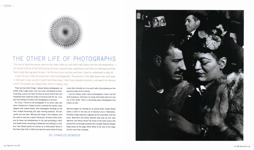 The Other Life Of Photographs