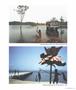 Page: - 29 | Aperture