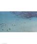 Page: - 22 | Aperture
