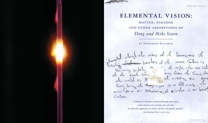 Elemental Vision: Matter, Paradox And Other Absorptions Of Doug And Mike Starn