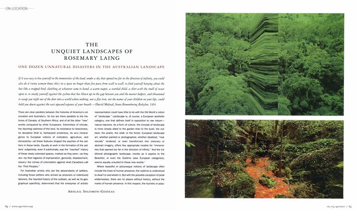 The Unquiet Landscapes Of Rosemary Laing