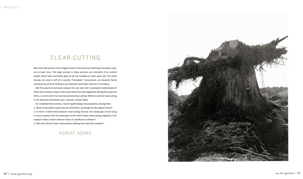 Clear-Cutting