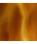Page: - 38 | Aperture