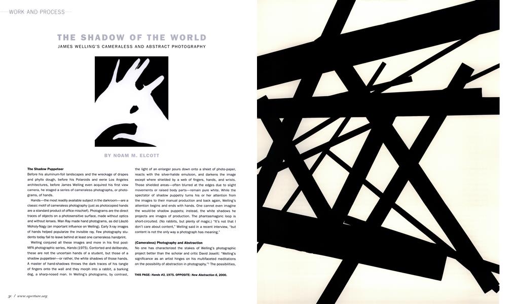 The Shadow Of The World James Welling's Cameraless And Abstract Photography