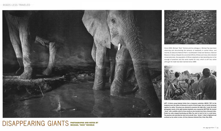 Disappearing Giants