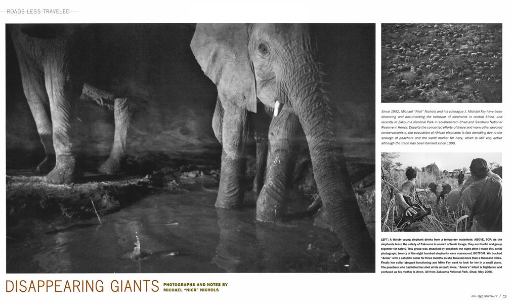 Disappearing Giants