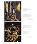 Page: - 72 | Aperture