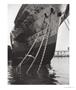 Page: - 51 | Aperture