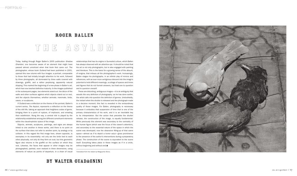 Roger Ballen The Asylum