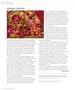 Page: - 14 | Aperture