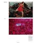 Page: - 121 | Aperture