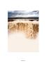 Page: - 104 | Aperture