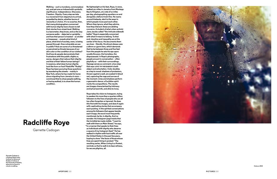 Radcliffe Roye
