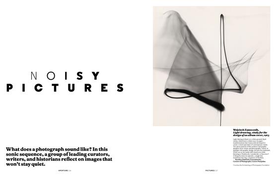 Noisy Pictures - Fall | Aperture