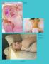 Page: - 140 | Aperture