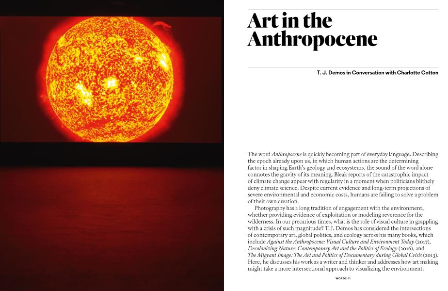 Art In The Anthropocene