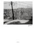 Page: - 55 | Aperture