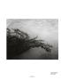Page: - 47 | Aperture