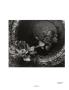 Page: - 53 | Aperture