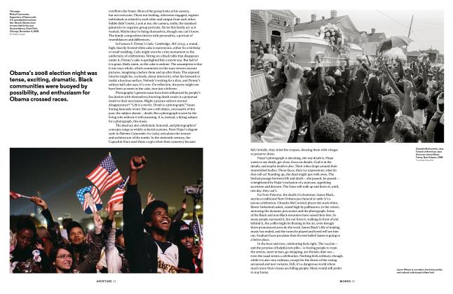 Subluxation, Microtubules and Mechanotransduction the Missing Keys