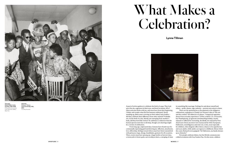 What Makes a Celebration?