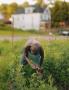 Page: - 24 | Aperture
