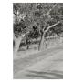 Page: - 94 | Aperture