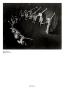 Page: - 104 | Aperture