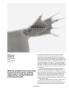 Page: - 47 | Aperture