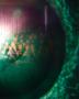 Page: - 45 | Aperture