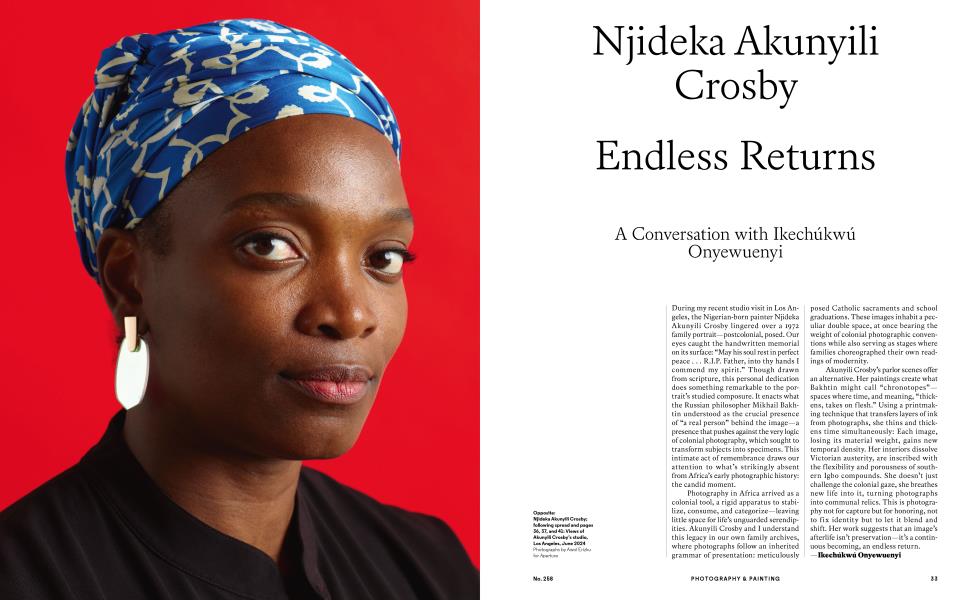 Njideka Akunyili Crosby Endless Returns