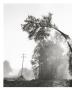 Page: - 120 | Aperture