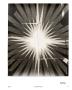 Page: - 77 | Aperture