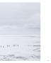 Page: - 109 | Aperture