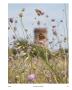 Page: - 119 | Aperture