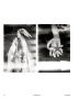 Page: - 56 | Aperture