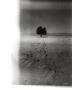 Page: - 57 | Aperture