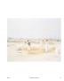 Page: - 67 | Aperture