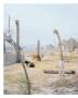 Page: - 70 | Aperture