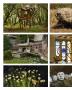 Page: - 86 | Aperture