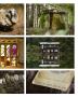 Page: - 87 | Aperture